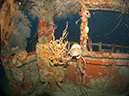 %_tempFileName2014-02-13_01_Utila_Haliburton_Wreck-22%