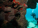 %_tempFileName2014-02-13_02_Utila_AIrport_Caves-32%