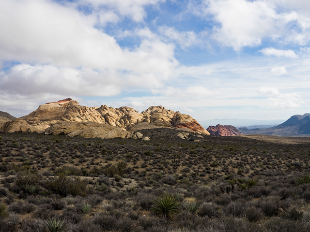 %_tempFileName2015-01-12_01_Red_Rock_Canyon_Grand_Circle-1120340%