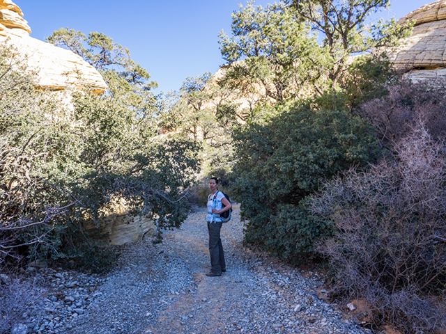 %_tempFileName2015-01-14_02_Red_Rock_Canyon_Calico_Tanks-1140369%