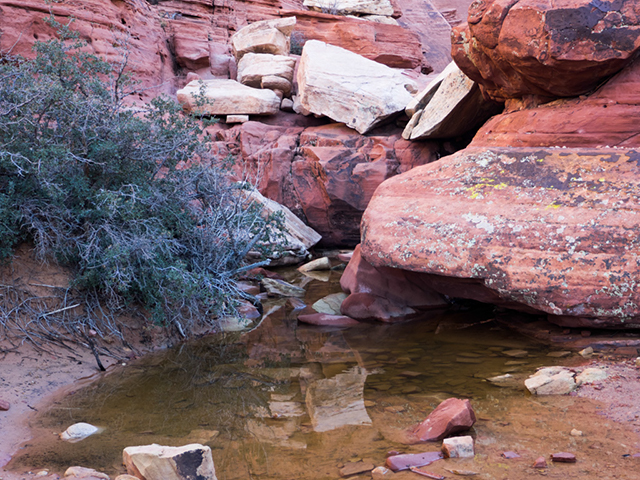 %_tempFileName2015-01-14_02_Red_Rock_Canyon_Calico_Tanks-1140371%