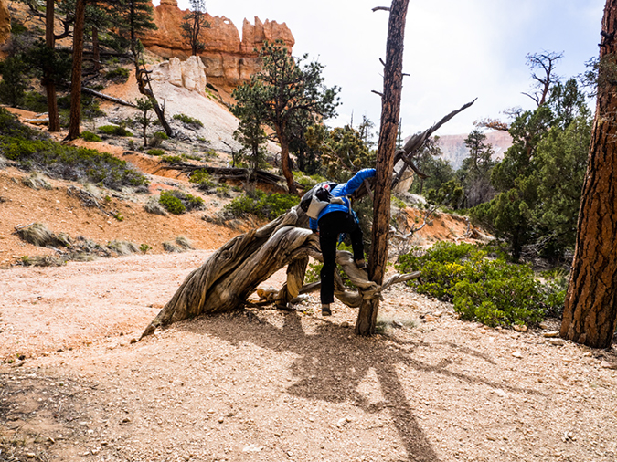 %_tempFileName2015-04-15_01_Queens_Garden_Trail_Navajo_Trail-4150588%