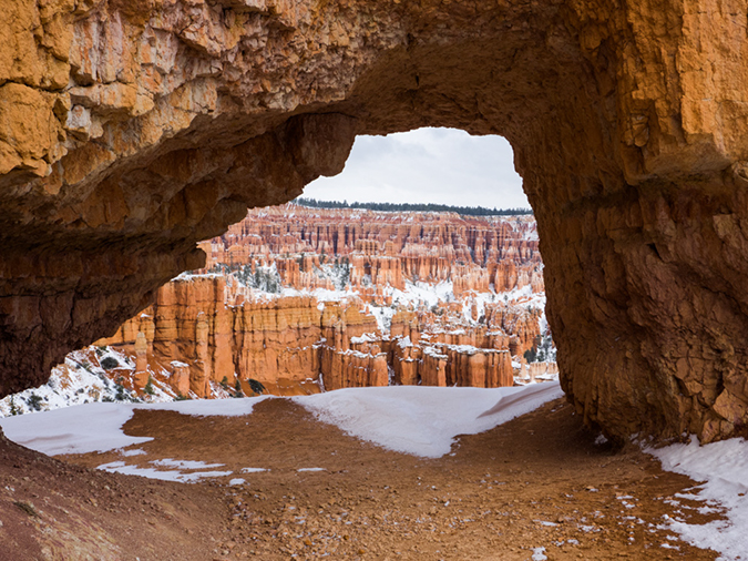 %_tempFileName2015-04-17_01_Peekaboo_Loop-4170658%