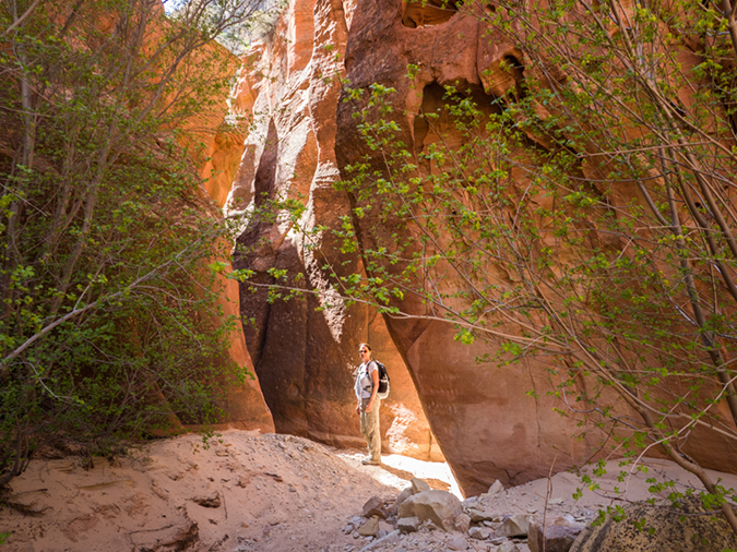 %_tempFileName2015-04-19_01_Red_Hollow-4190751%