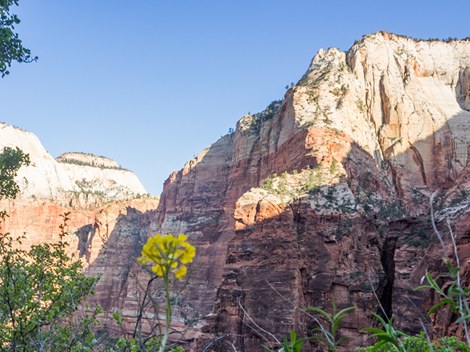 %_tempFileName2015-04-21_01_Observation_Point-4210984%