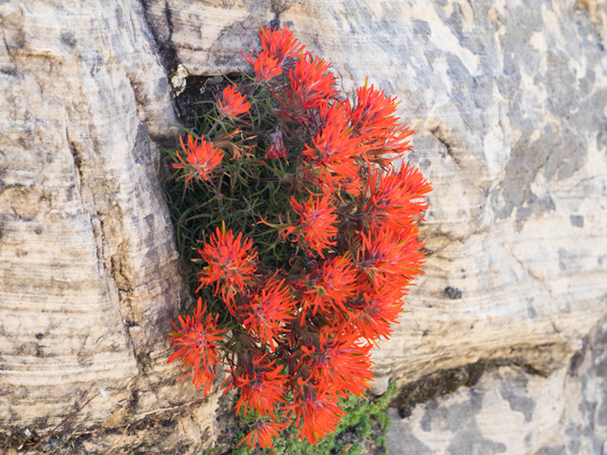 %_tempFileName2015-04-21_01_Observation_Point-4211054%