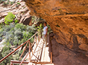 %_tempFileName2015-04-19_03_Zion_NP_Overlook_Trail-4190814%