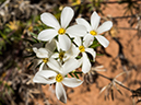 %_tempFileName2015-04-20_01_Angels_Landing_Trail-4200881%