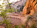 %_tempFileName2015-04-20_01_Angels_Landing_Trail-4200883%