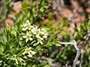 %_tempFileName2015-04-22_02_Kolob_Canyon-4221162%