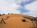 %_tempFileName2015-04-23_02_Coral_Pink_Sand_Dunes-4231176%