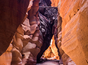 %_tempFileName2015-04-24_01_Buckskin_Gulch-4241301%