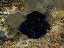 %_tempFileName2015-05-05_01_Darly_Laut-5050247%