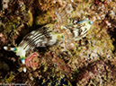 %_tempFileName2015-05-08_03_Mato_Point-5080912%
