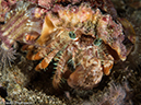 %_tempFileName2015-05-11_04_House_Reef-5111537%
