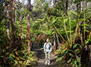 %_tempFileName2015-05-18_02_Kilauea_Iki_Trail_Volcano_National_Park-5181813%
