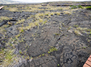 %_tempFileName2015-05-20_03_Puu_Loa_Petroglyphs_Volcano_National_Park-5201932%