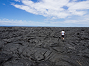 %_tempFileName2015-05-20_04_Puja_Costal_Trail_Volcano_National_Park-5201941%