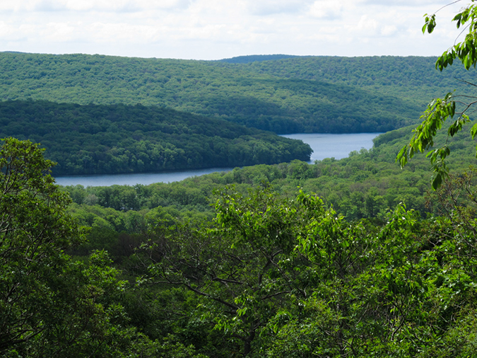 %_tempFileName2015-06-03_Johnson_Town-0064%