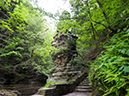 %_tempFileName2015-06-08_01_Buttermilk_Falls_Hike-6082236%