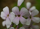 %_tempFileName2015-06-08_01_Buttermilk_Falls_Hike-6082238%