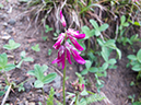 %_tempFileName2015-07-02_01_Wheeler_Peak-0601%