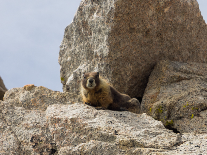 %_tempFileName2015-08-04_01_Mount_Whitney-8043443%