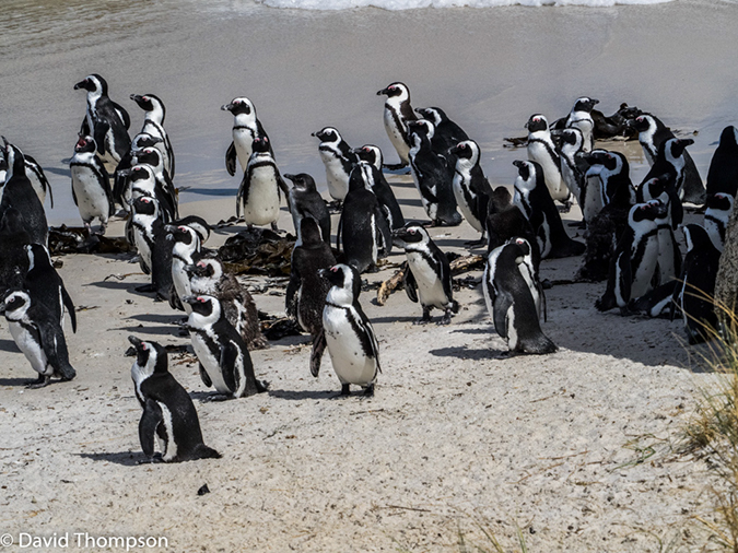 %_tempFileName2015-12_24_02_Boulder_Beach-240214%