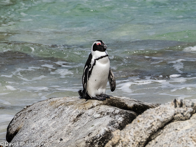 %_tempFileName2015-12_24_02_Boulder_Beach-240215%