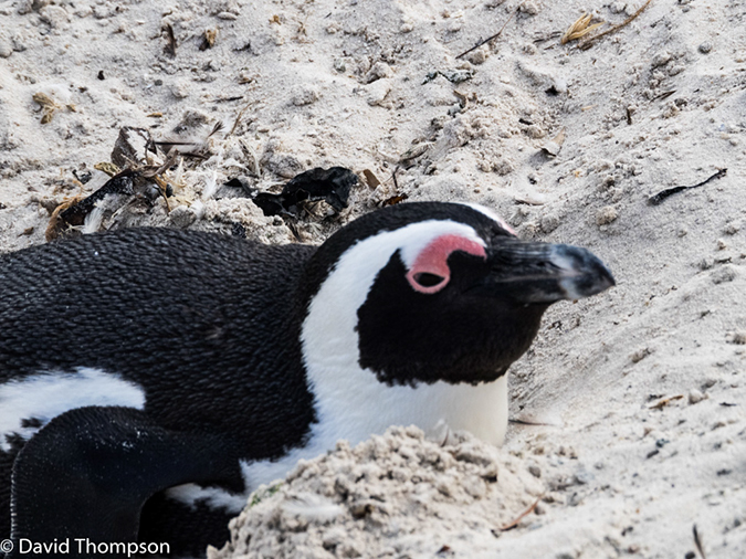 %_tempFileName2015-12_24_02_Boulder_Beach-240241%