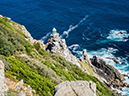 %_tempFileName2015-12_23_01_Cape_Point_Trail-230094%