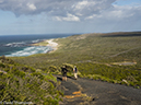 %_tempFileName2015-12_24_01_Cape_Point_Trail-240130%