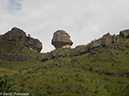 %_tempFileName2016-01-01_01_Royal_Natal_NP_Thukela_Gorge-1010527%