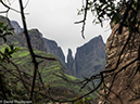 %_tempFileName2016-01-01_01_Royal_Natal_NP_Thukela_Gorge-1010572%