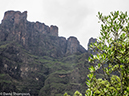 %_tempFileName2016-01-01_01_Royal_Natal_NP_Thukela_Gorge-1010573%