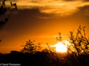 %_tempFileName2015-12_18_03_Kruger_Afternoon_Game_Drive-181715%