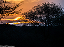 %_tempFileName2015-12_18_03_Kruger_Afternoon_Game_Drive-181720%