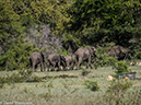 %_tempFileName2015-12_19_03_Kruger_Plain_Camp-191829%