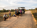 %_tempFileName2015-12_19_04_Kruger_Afternoon_Game_Drive-191897%