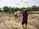 %_tempFileName2015-12_20_01_Kruger_Walking_Safari-201934%