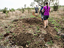 %_tempFileName2015-12_21_01_Kruger_Walking_Safari-212034%