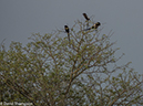 %_tempFileName2015-12_21_01_Kruger_Walking_Safari-212046%
