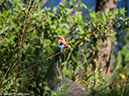 %_tempFileName2016-01-04_01_Pretoria-1040662%