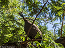 %_tempFileName2016-01-04_01_Pretoria-1040679%
