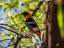 %_tempFileName2016-01-04_01_Pretoria-1040689%