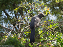 %_tempFileName2016-01-10_01_Pretoria-1100896%