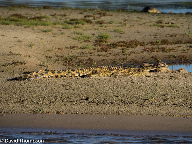 %_tempFileName2015-12_14_03_Zambezi_River_Cruise-141258%