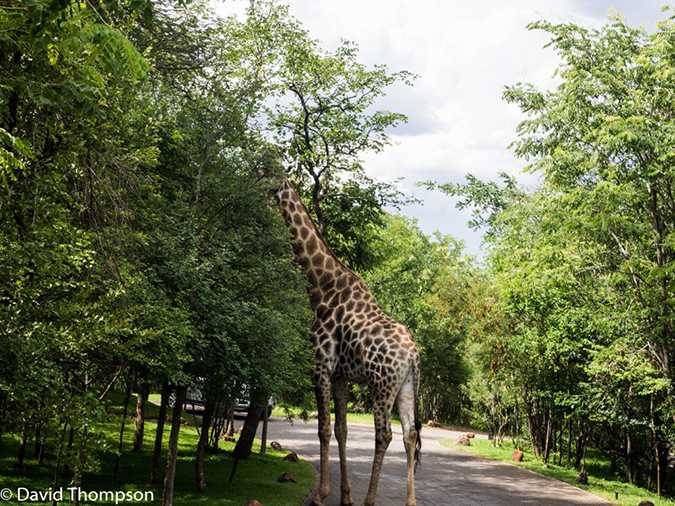 %_tempFileName2015-12_15_02_Devils_Pool_Zambia-151364%