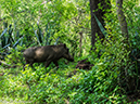 %_tempFileName2015-12_15_01_AZambezi_River_Lodge-151356%