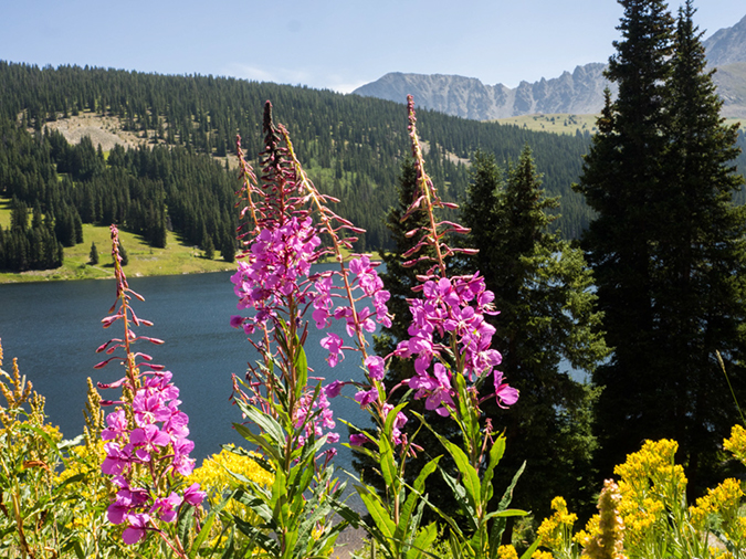 %_tempFileName2015-08-18_02_Clinton_Gulch_Reservoir-8183595%